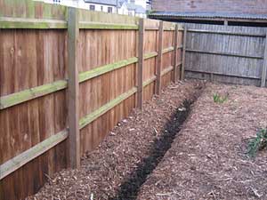 garden been rotivated, trench ready for tree planting nowr